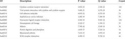Prognostic value of the ferroptosis-related gene SLC2A3 in gastric cancer and related immune mechanisms